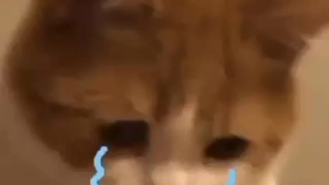 Oi Massage dao na kn 🥺