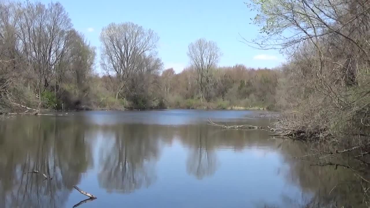 The Day of the Lord 7 - Psalm 37