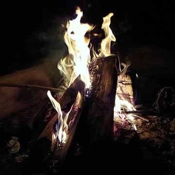 Seven Seconds of Tranquil Chaos