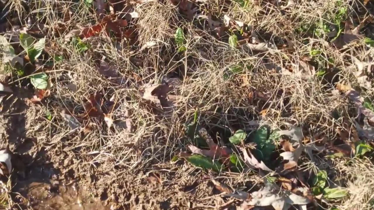 And now I have ruts everywhere...