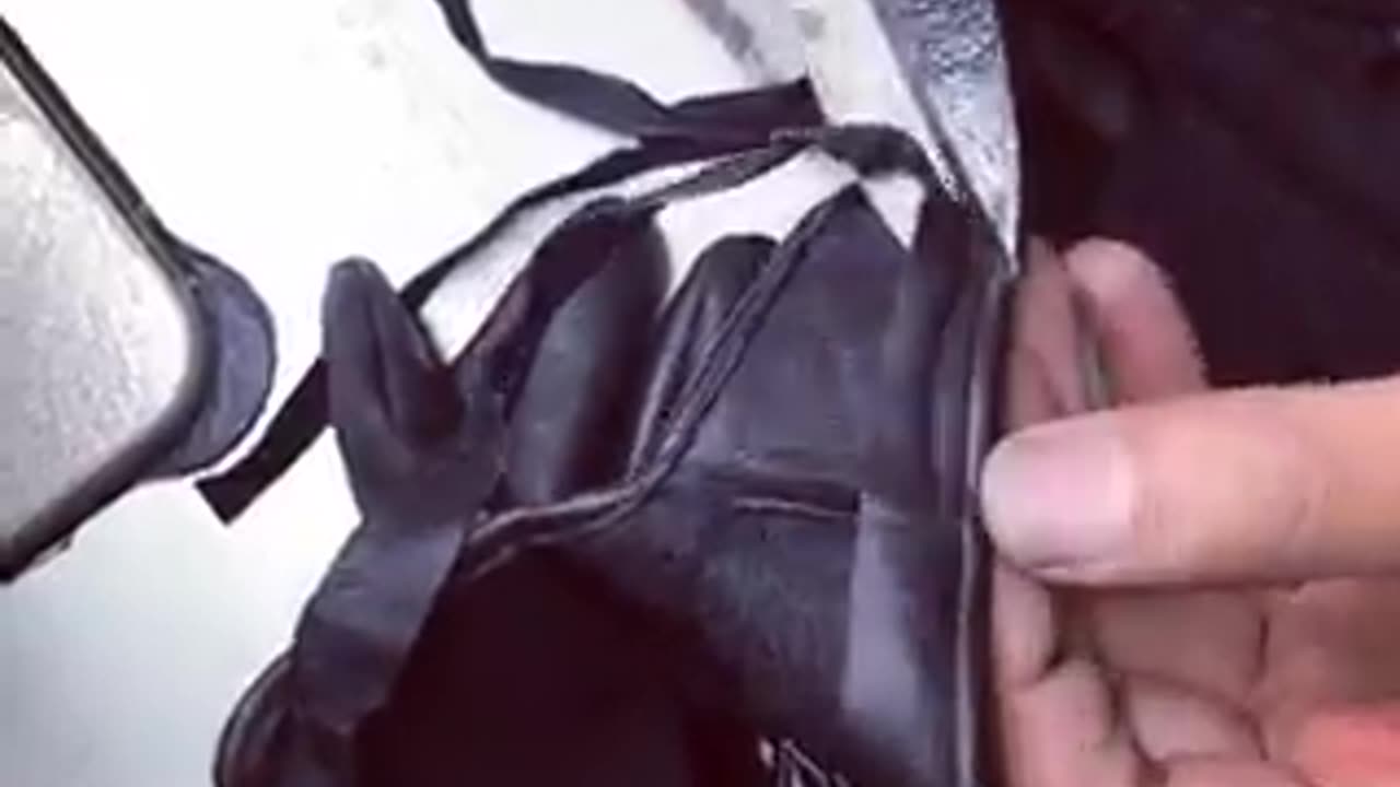 Leather Gloves