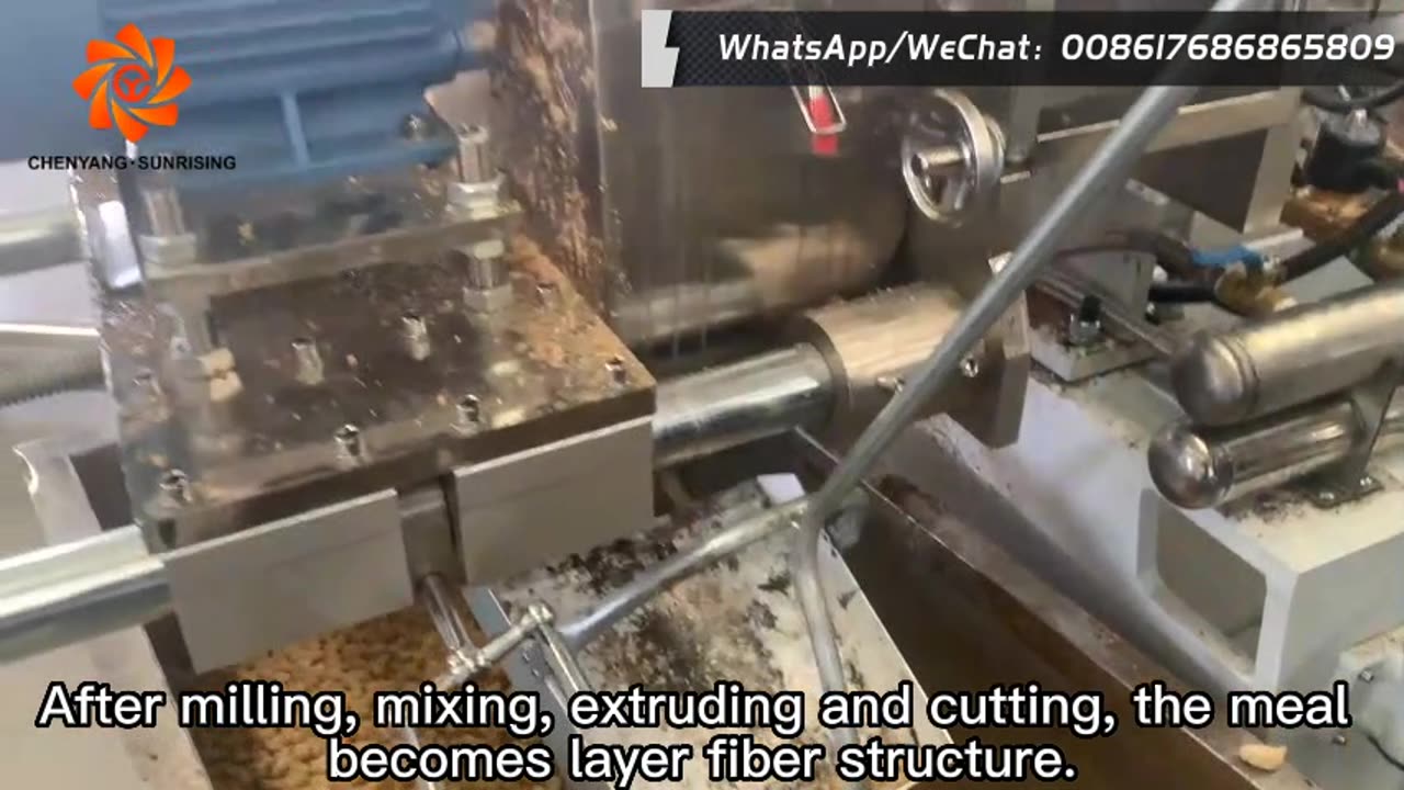 TSP / TVP textured soy protein vegetable artificial meat food extruder making machine testing video