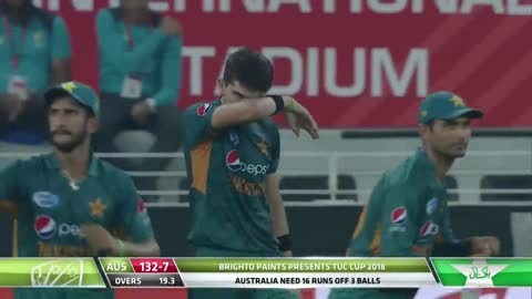 Thrilling Last Over in Cricket History | Young Shaheen vs Experienced Australia | PCB | MA2L