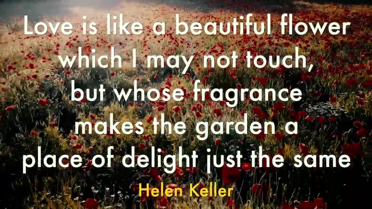 10 Quotes About flowers and Hapiness | Quotes in english