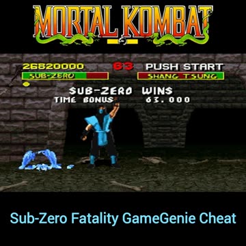 Mortal Kombat: Sub-Zero Fatality On the 1st Round 👀 #shorts