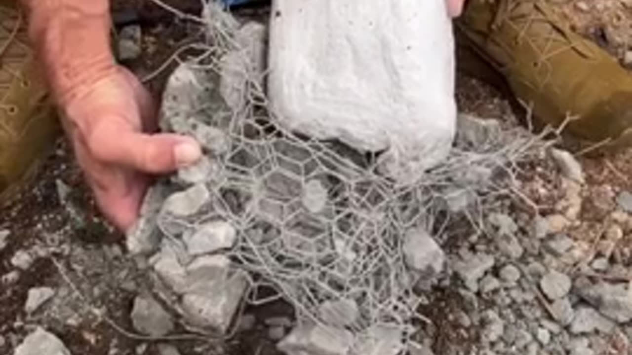 Confiscated at border