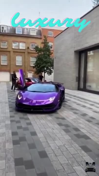 BILLIONAIRE'S LUXURY CAR