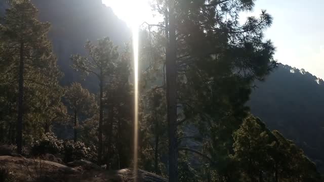 The Natural beauty of Elam monten