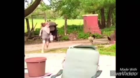 Funny chickens and roosters Chasing kids and adults 😂😂--funny videos compilation