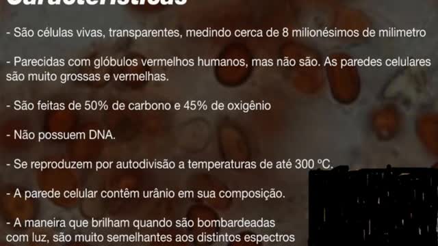 "Ishida" Drink the blood of Quincy King part 5