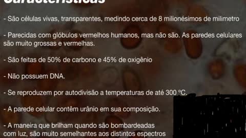 "Ishida" Drink the blood of Quincy King part 5