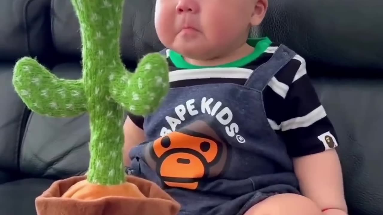 Cute Babies Playing with Dancing Cactus (Hilarious)Cute Baby Funny Videos