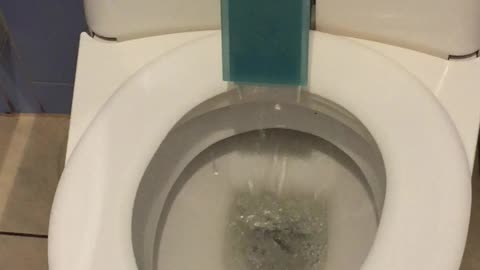 Self cleaning toilet