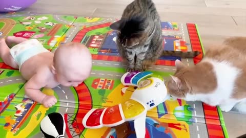 Cute babies and Pets adorable videos