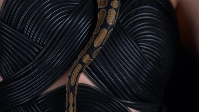 Mulher cobra