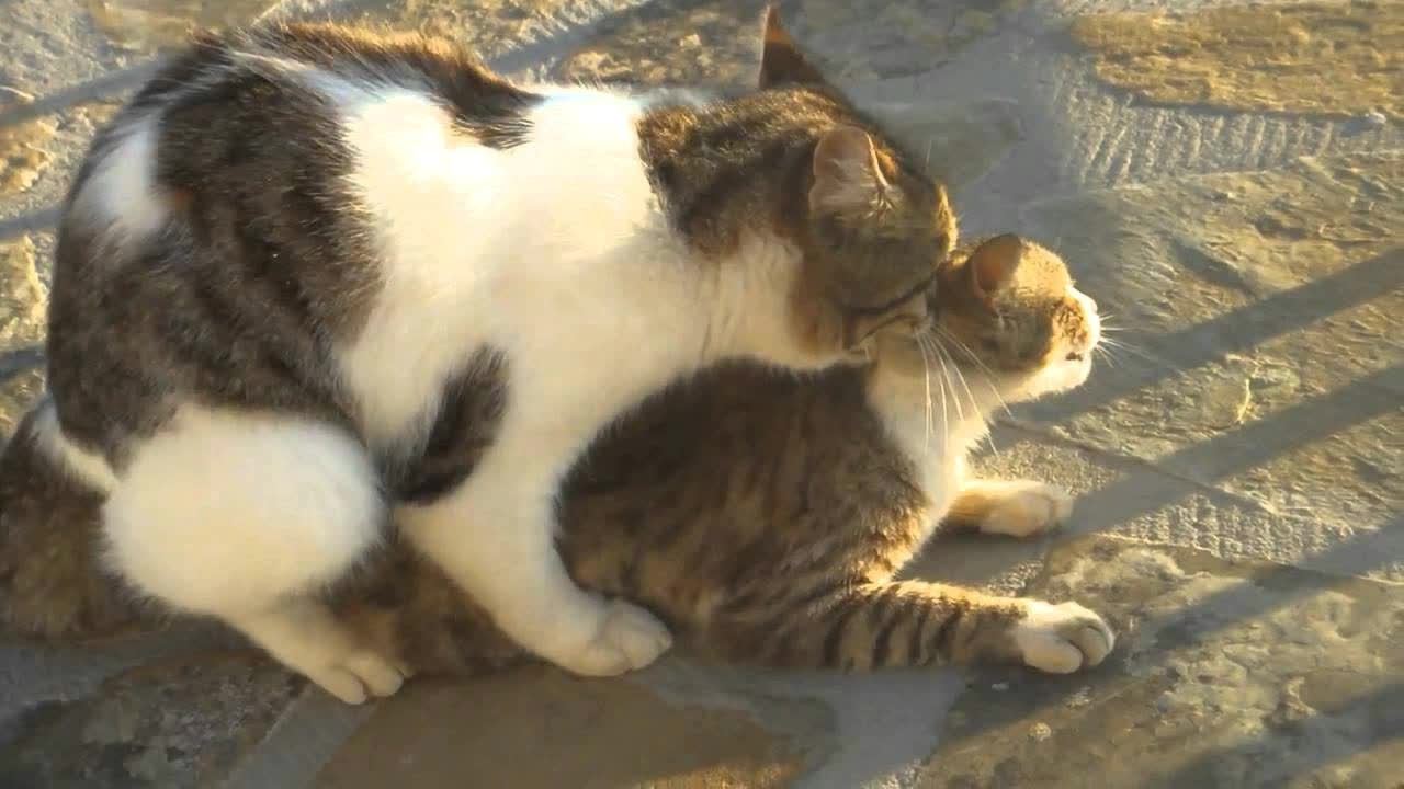 Mit kell csinálni ha megcsal a párom