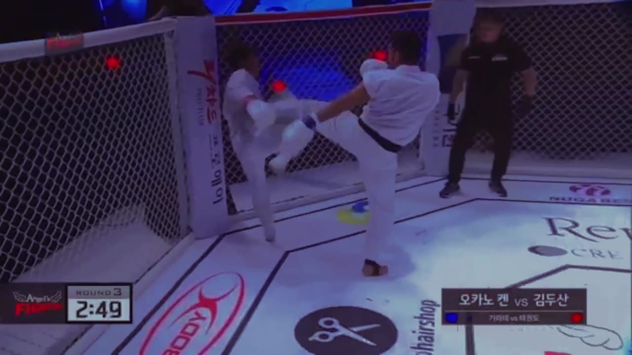 Karate vs Taekwondo Best Fight