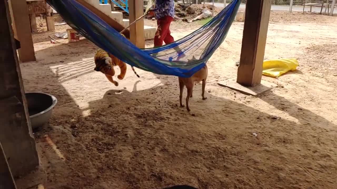Wow must watch this video very funny😂