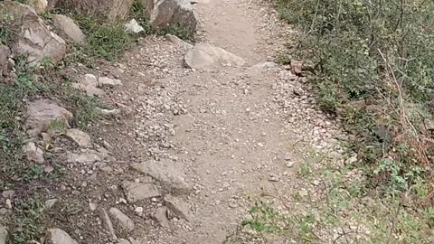 Kedarnath temple kho nagoriyan tracking