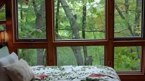 #Useful#Beautiful#Funny #Funny video#laugh# interesting#video#short video#short#short cut