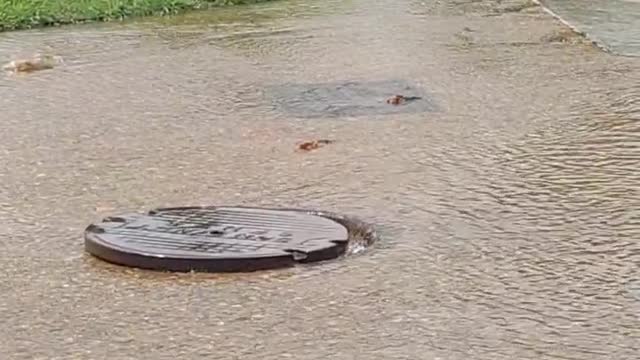 FLOODING OUT THE TUNNELS OF DC BY NANCY DREW