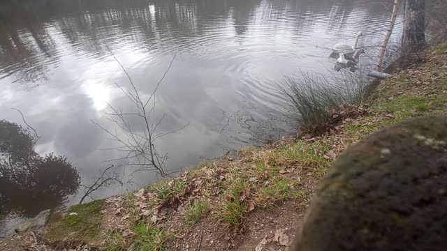 Les berges de la rivière