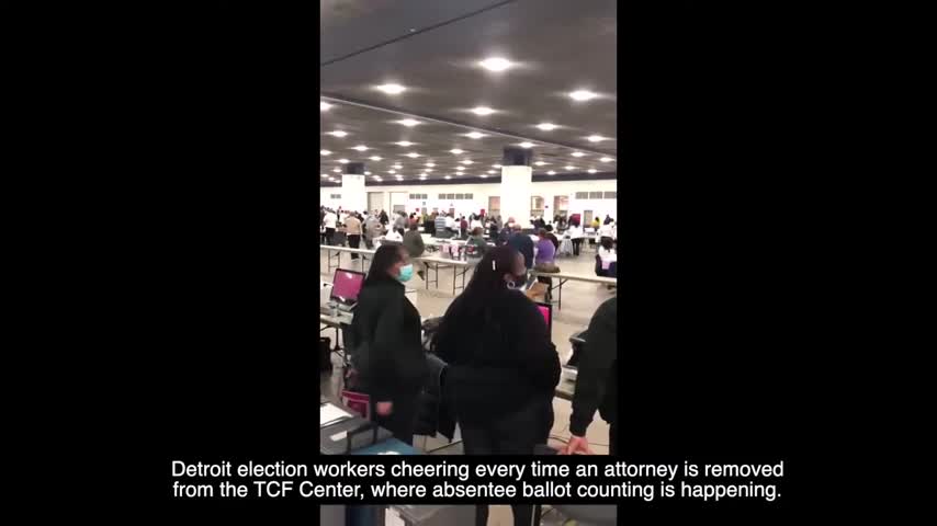 Detroit Election Treason Cheers as Poll Watchers and Lawyers Are Removed