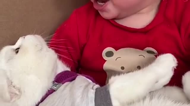 this child was very happy to have the kitten in his lap