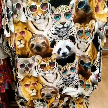 Why does this NOT surprise me?