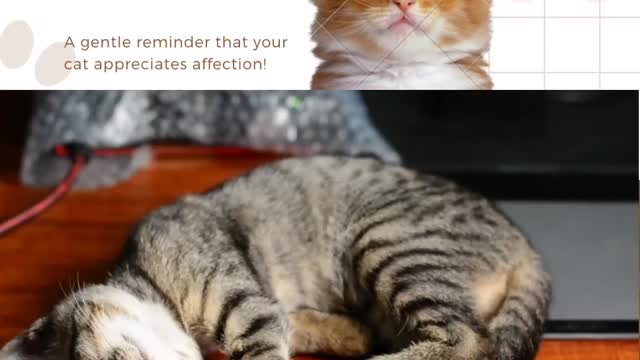 Funny animal vedios 2022- Funniest cats vedios