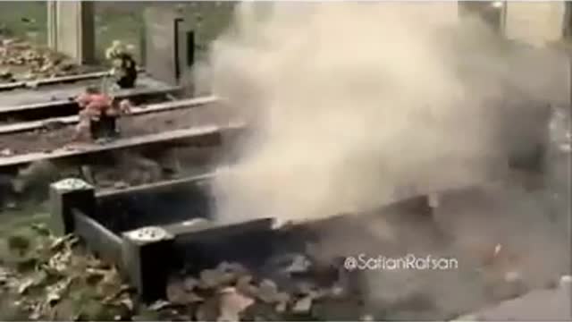 short funny video 2021