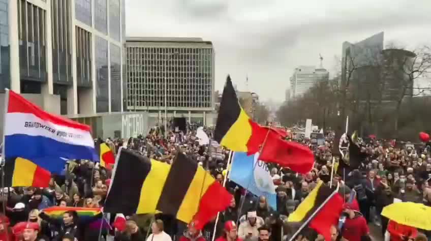 Brussels Protest January 23rd 2022