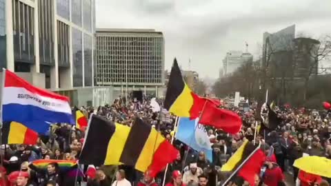 Brussels Protest January 23rd 2022