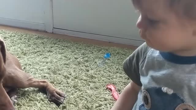 Meet the Baby!
