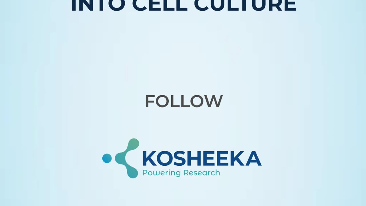 Why are transferrin important in adherent cell culture medium?