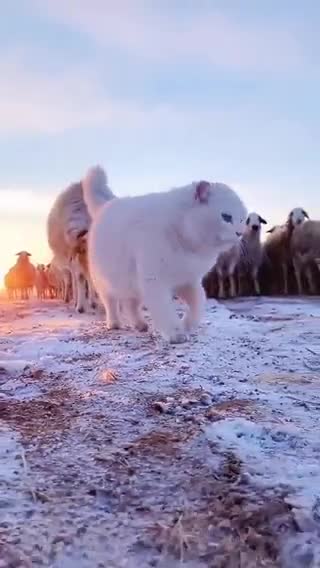 Let your spirits be high, and your worries low. 🙌🏻