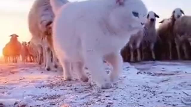 Let your spirits be high, and your worries low. 🙌🏻