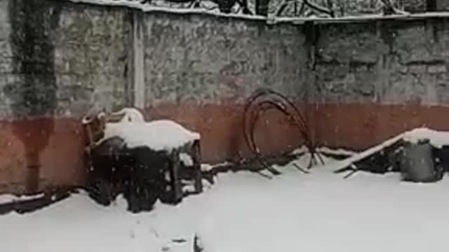 Snow falls murree Pakistan