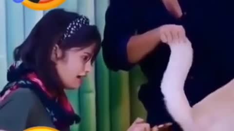 Boy vs Girl funny videos - Boys vs girls Funny Videos #shorts