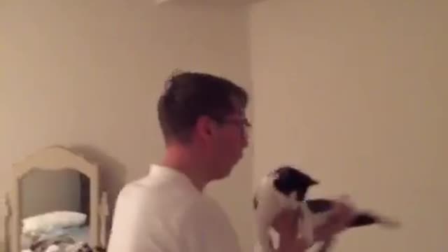 Guy in white shirt and glasses pretends black and white cat is plane