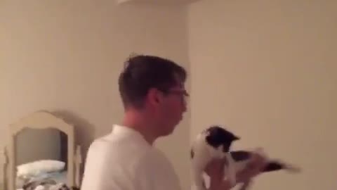 Guy in white shirt and glasses pretends black and white cat is plane