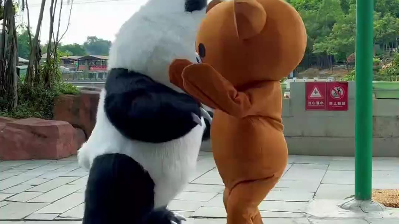 Brown bear is bullied by panda episode 118