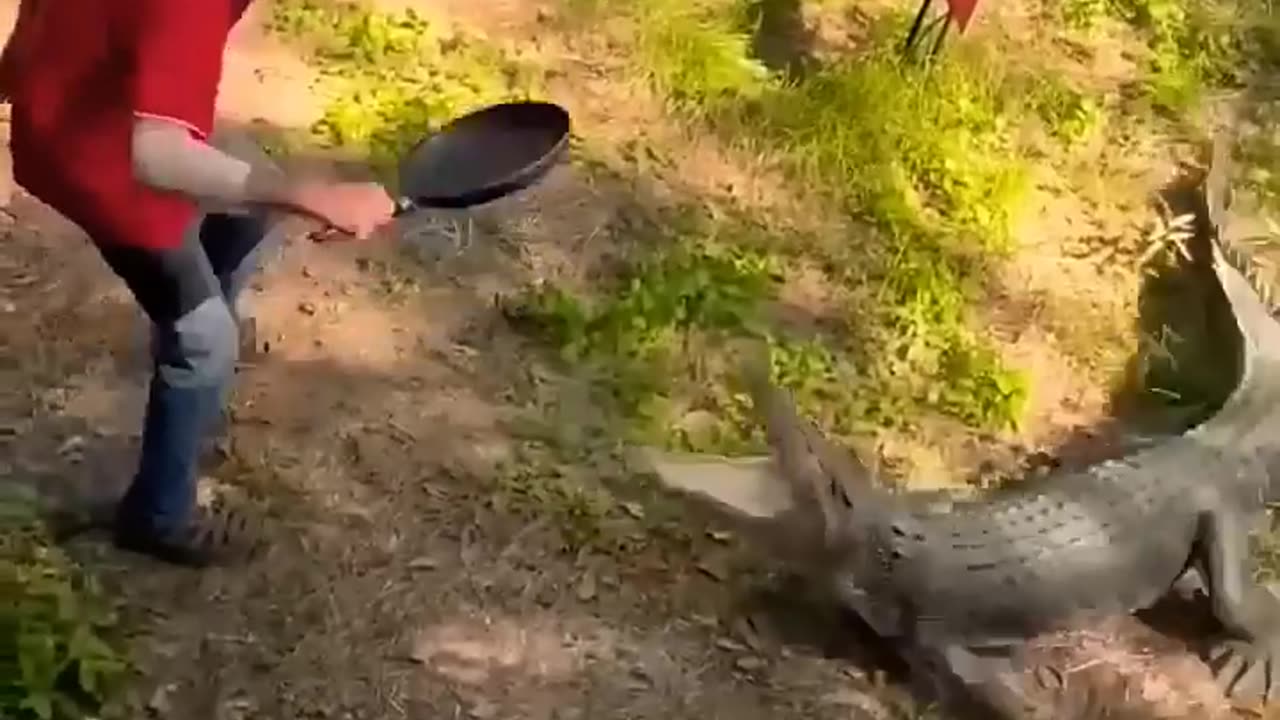 Funny Videos๐๐ |Wait For The End๐๐