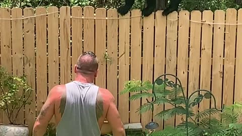 Man and His Yorkie Encounter Black Bear in Backyard