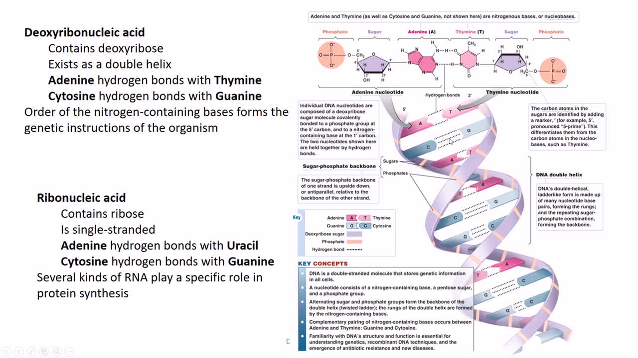 Microbiology History: Molecules of Life