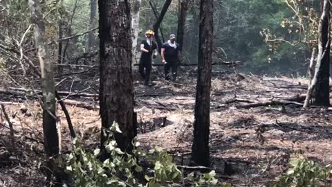 Bulldozers clearing lines for the Florida wildfires