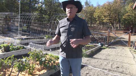 THE COST OF WINTER GREENHOUSE HEATING