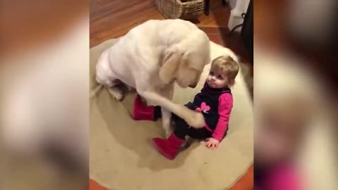 Dogs and Babies are Best Friends Forever