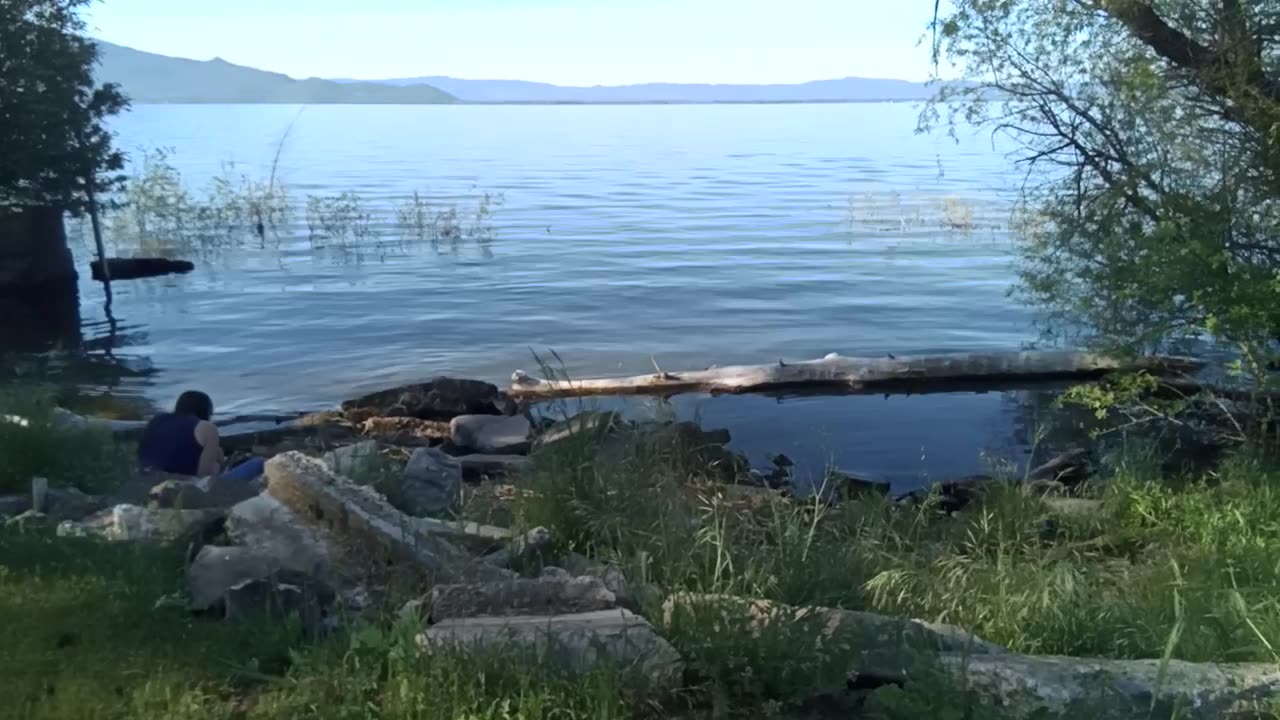 Logan at the lake.