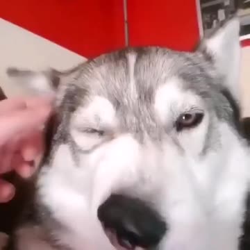 This is soooo FUNNY!!!